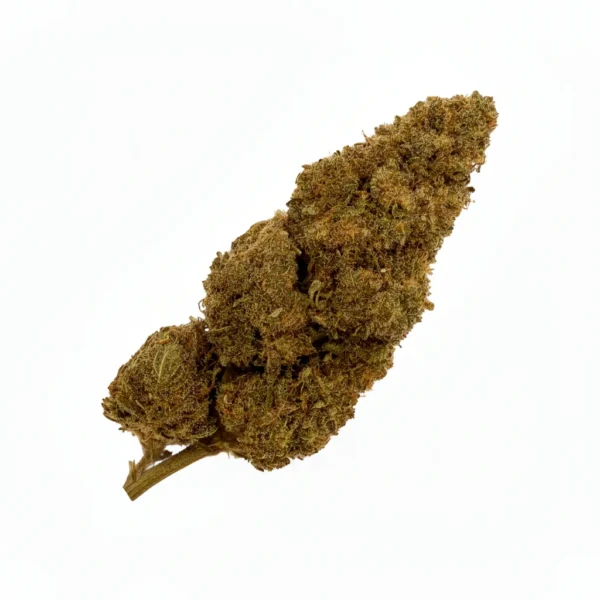 Fleur CBD Jack Herer – variété légendaire aux effets équilibrés.