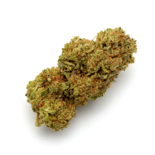 Fleur CBD Super Lemon Haze – bud premium aux arômes citronnés.