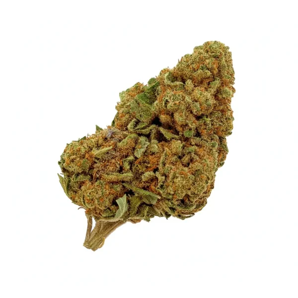 Fleur CBD Watermelon – bud premium aux notes fruitées.