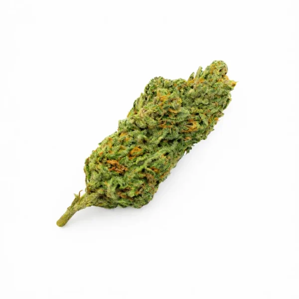 Fleur Bubble Gum CBD 10% Green-house – La Demeure du CBD