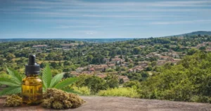 CBD livré à Charbonnières-les-Bains en moins de 24h – CBD livraison locale