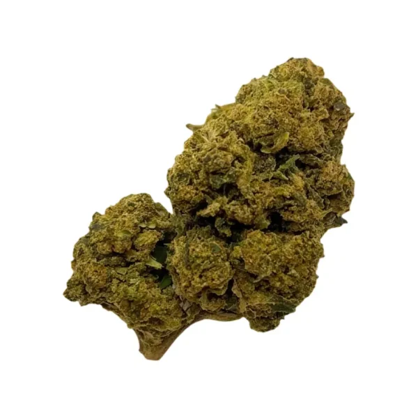 TNT Mango – fleur enrichie CBD/CBN (photo produit)